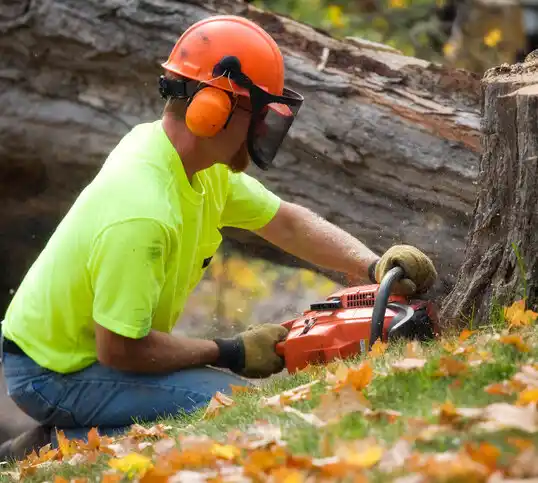 tree services Pitman